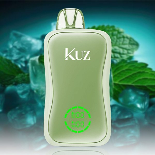 kuz-flow-25000-puffs-miami-mint.jpg
